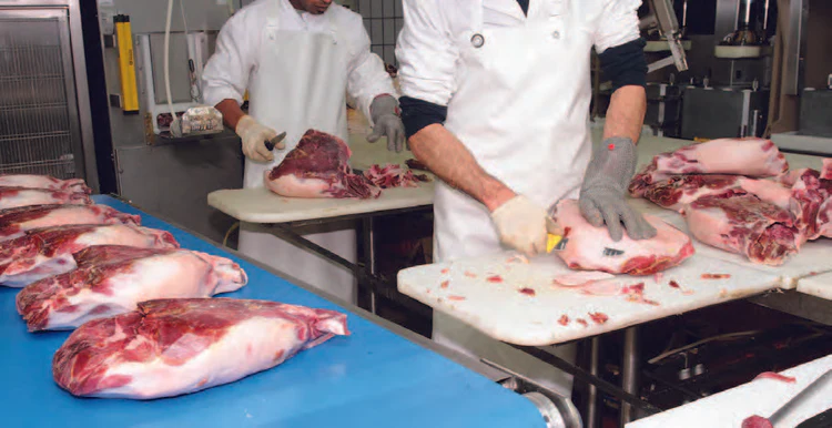 6ReasonsFoodProcessors